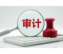 财务代理与财务咨询 企业稳健发展的双引擎