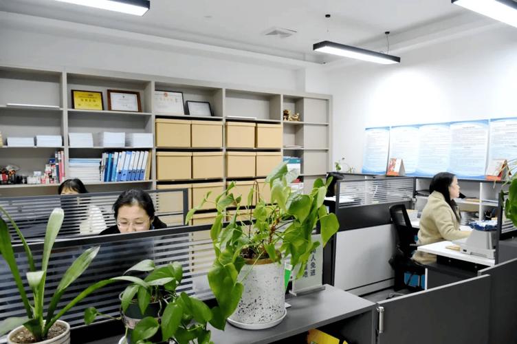如皋这家公司诚聘财务专员！“职”等你来，共创财务咨询新篇章
